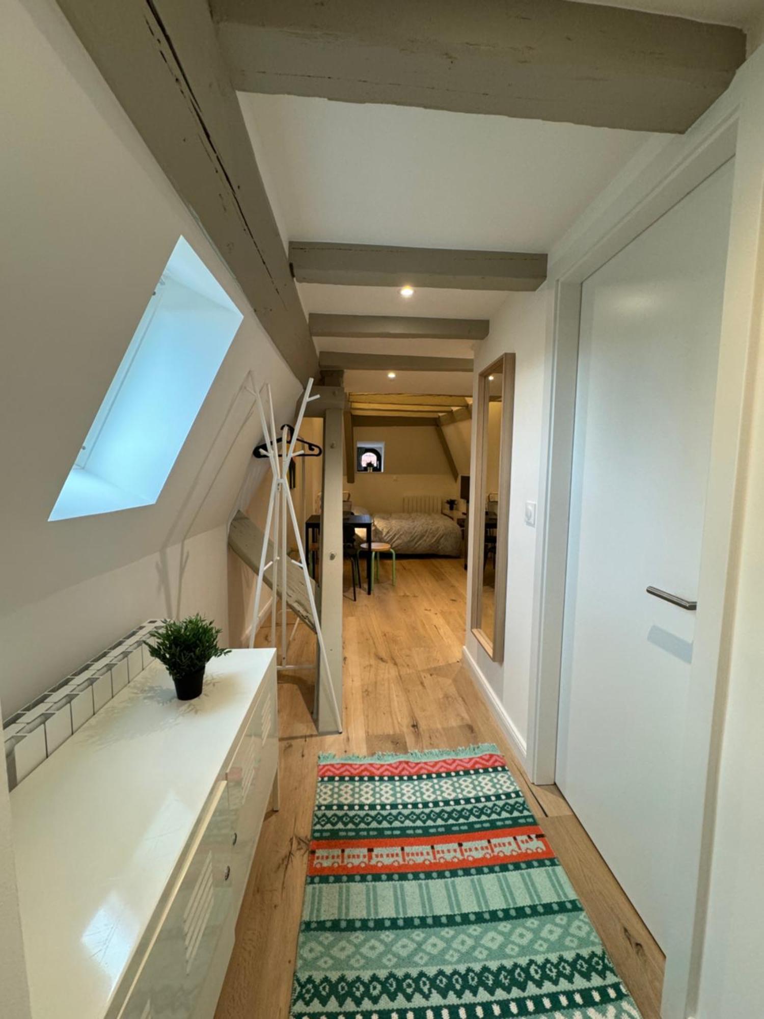 Appartement Le Salzmann Strasbourg