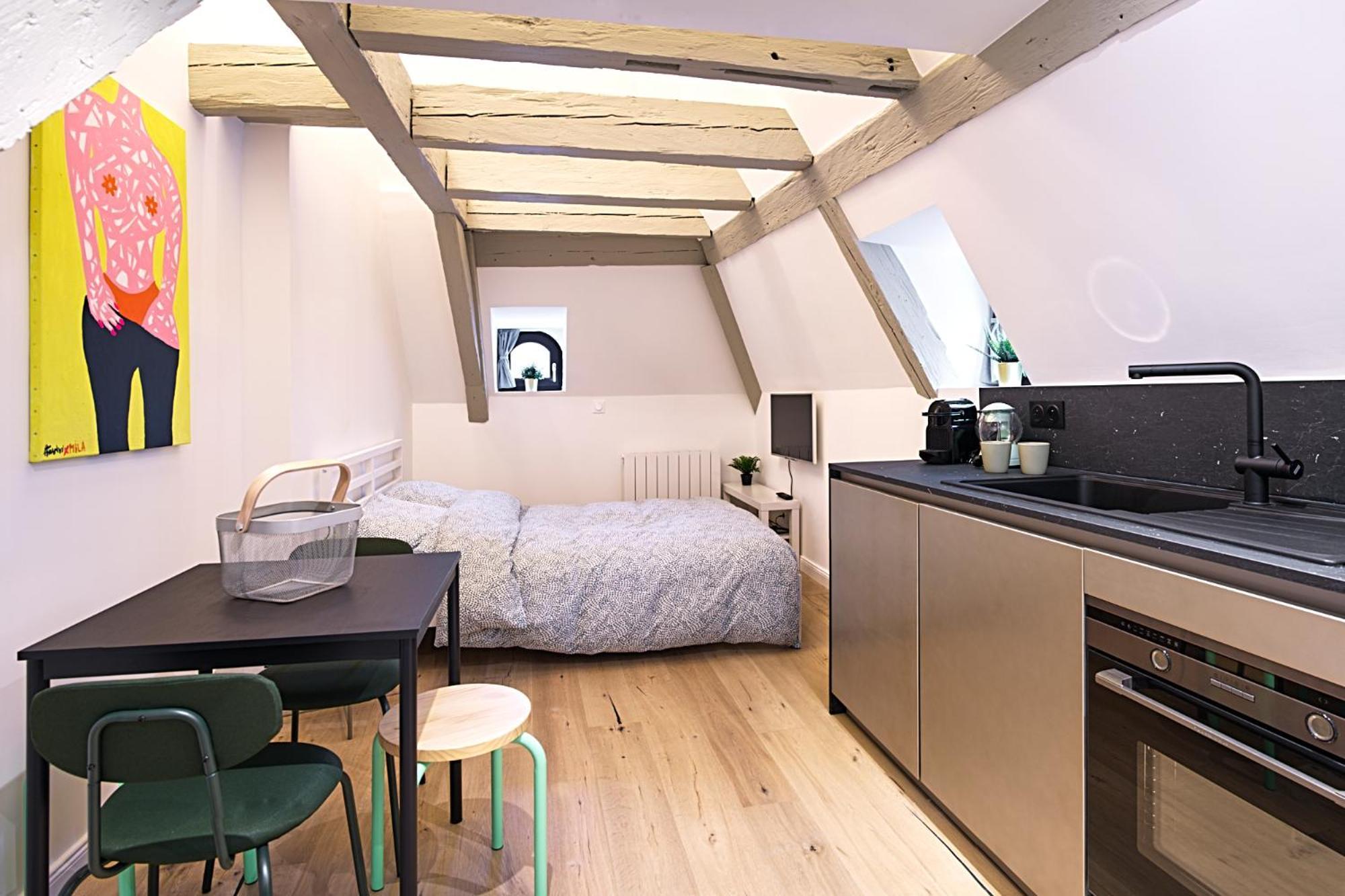 Le Salzmann Appartement Strasbourg